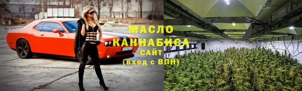 сатива Покачи