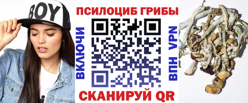 Галлюциногенные грибы ЛСД  Среднеколымск 